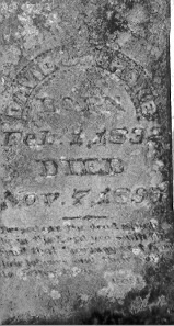 Image of David J. Brake's Gravestone