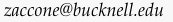 Zaccone email