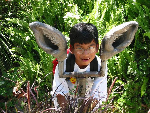 Image of Scott as
 Bat-eared Fox