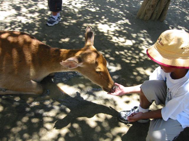 Image of Scott and Deer