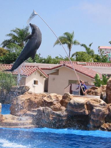 Image of Dolly
 the Dolphin's Highjump