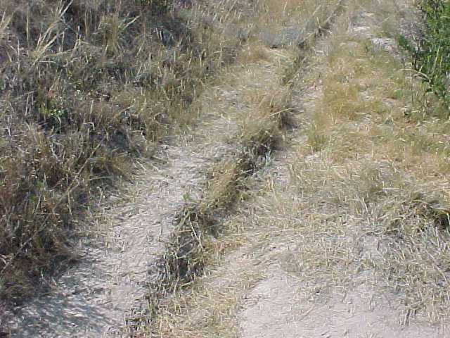 Image of Mitchell Pass Ruts