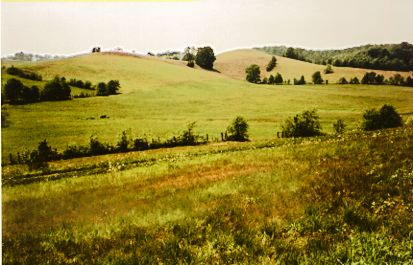 Image of view from Reger Chapel