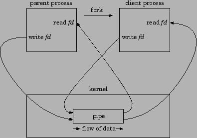 \includegraphics{Diagrams/SingleProcPipe-afterFork.eps}