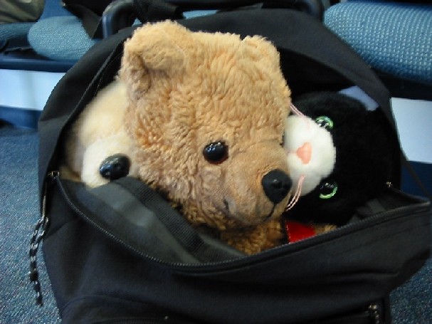 Image of Stowaways in Scott's Backpack