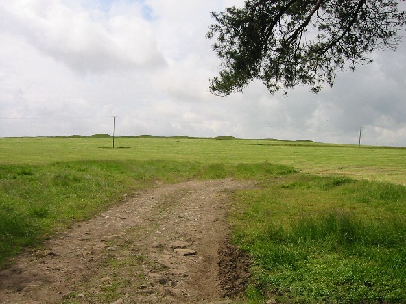 Image of Nine Barrows