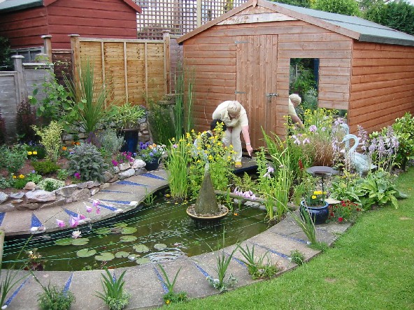 Image of Chris's Garden