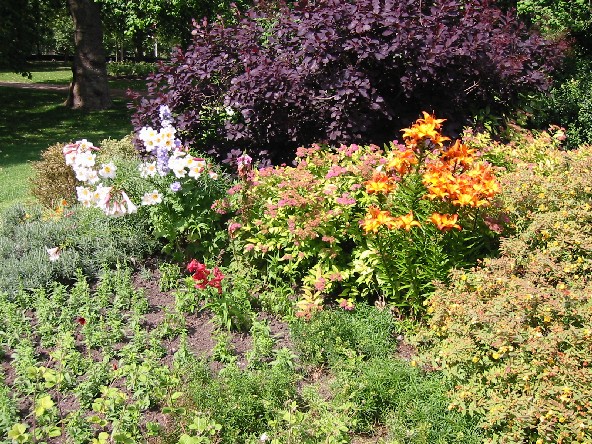 Image of St. JamesPark