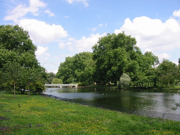 Image of St. James Park