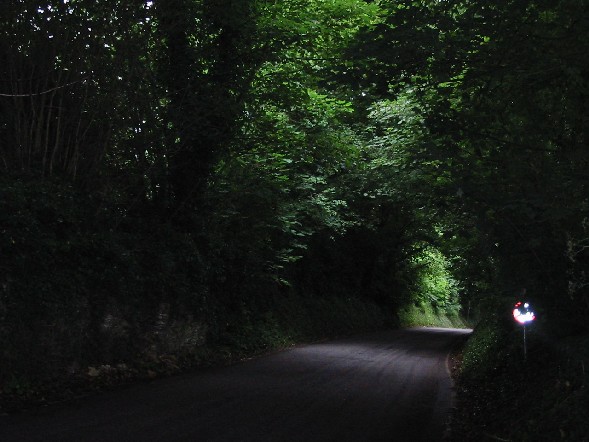 Image of Green Tunnel