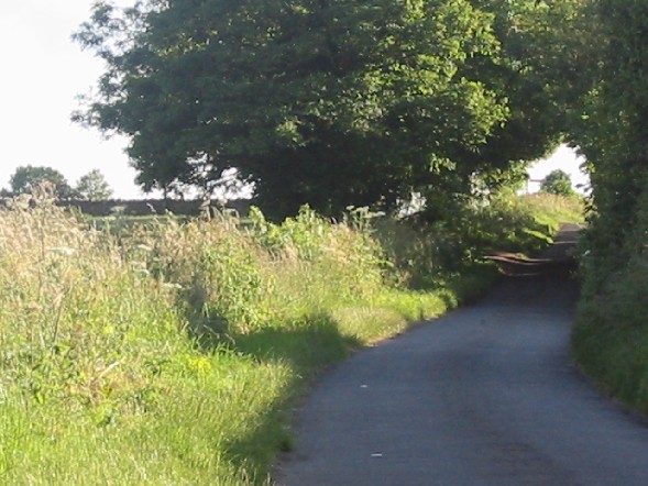 Image of Typical 
Road in Cotswolds