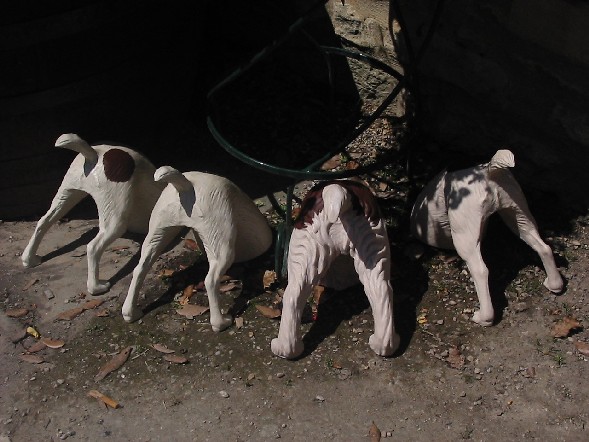 Image of Digging Dogs