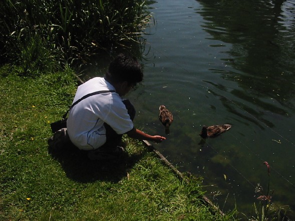 Image of Trout Farm Bibury