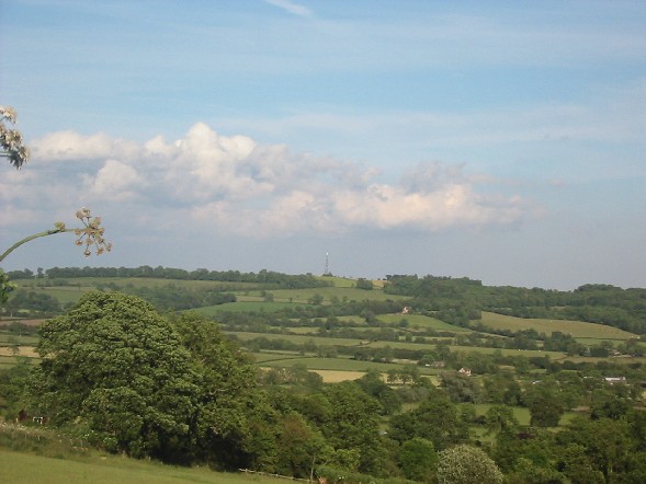 Image of Cotwolds Fields