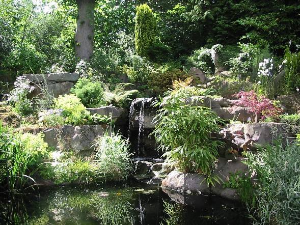 Image of Rose Garden