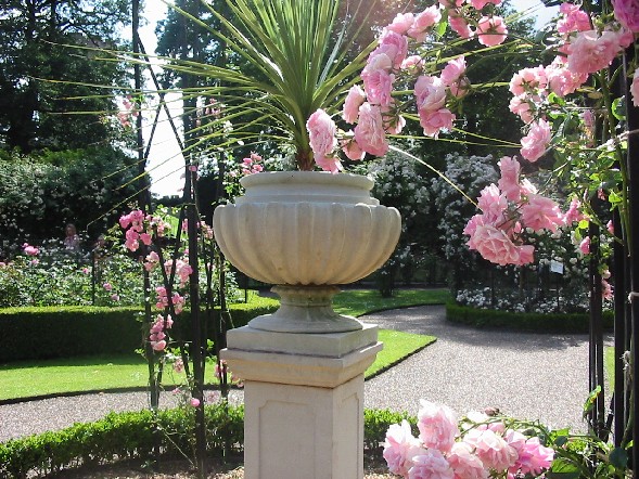 Image of Rose Garden