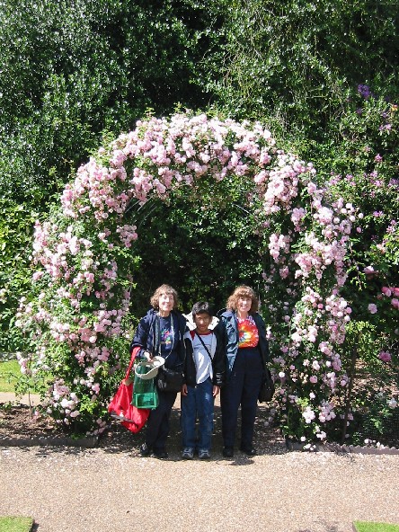 Image of Rose Garden