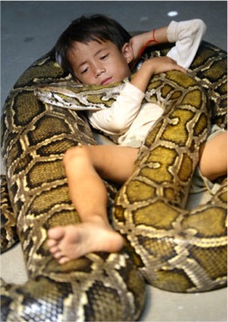 Image of python and boy