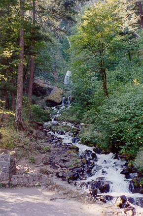 Image of  Falls on Columbia River Highway
