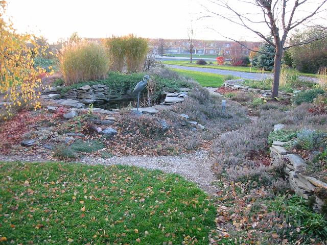 Image of Nan and Jim's Front Yard