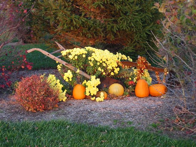 Image of Plow Arrangement in Front Yard