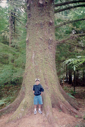 Image of Scott in Front of Tree
