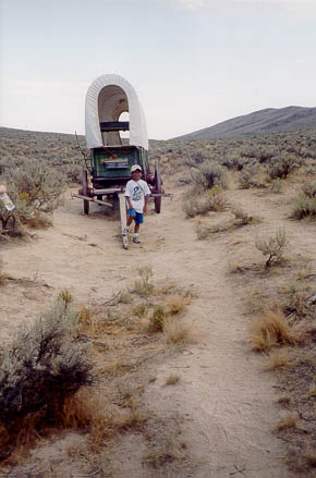 Image of Covered Wagon On Trail