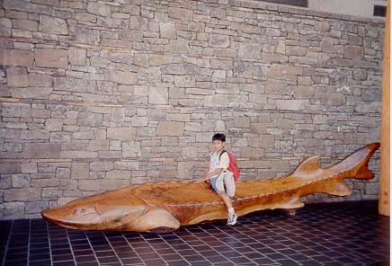 Image of Scott on life size sturgeon at
Gorge Discovery Center