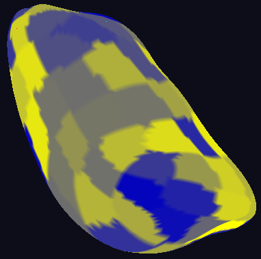 Local regions used in appearance training