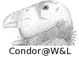 Condor distributed computing at W&L